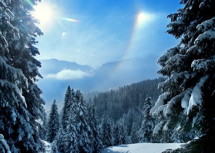 Home Hotel Arosa 3* ארוזה